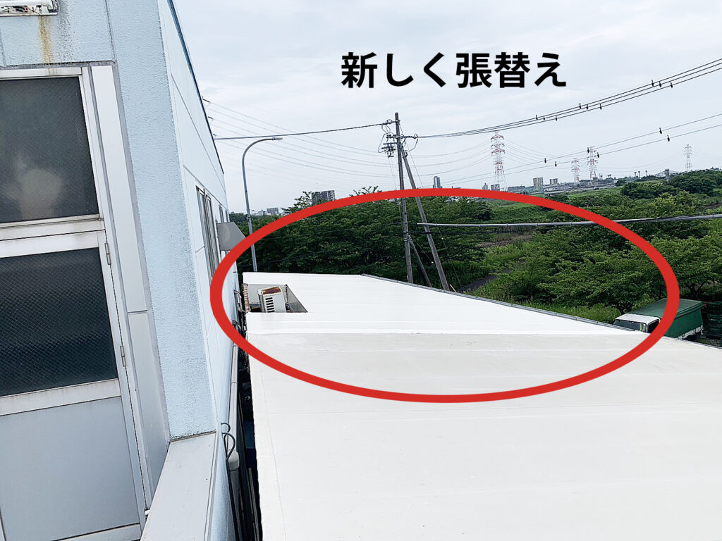 テント倉庫シート張替え後の屋根の様子